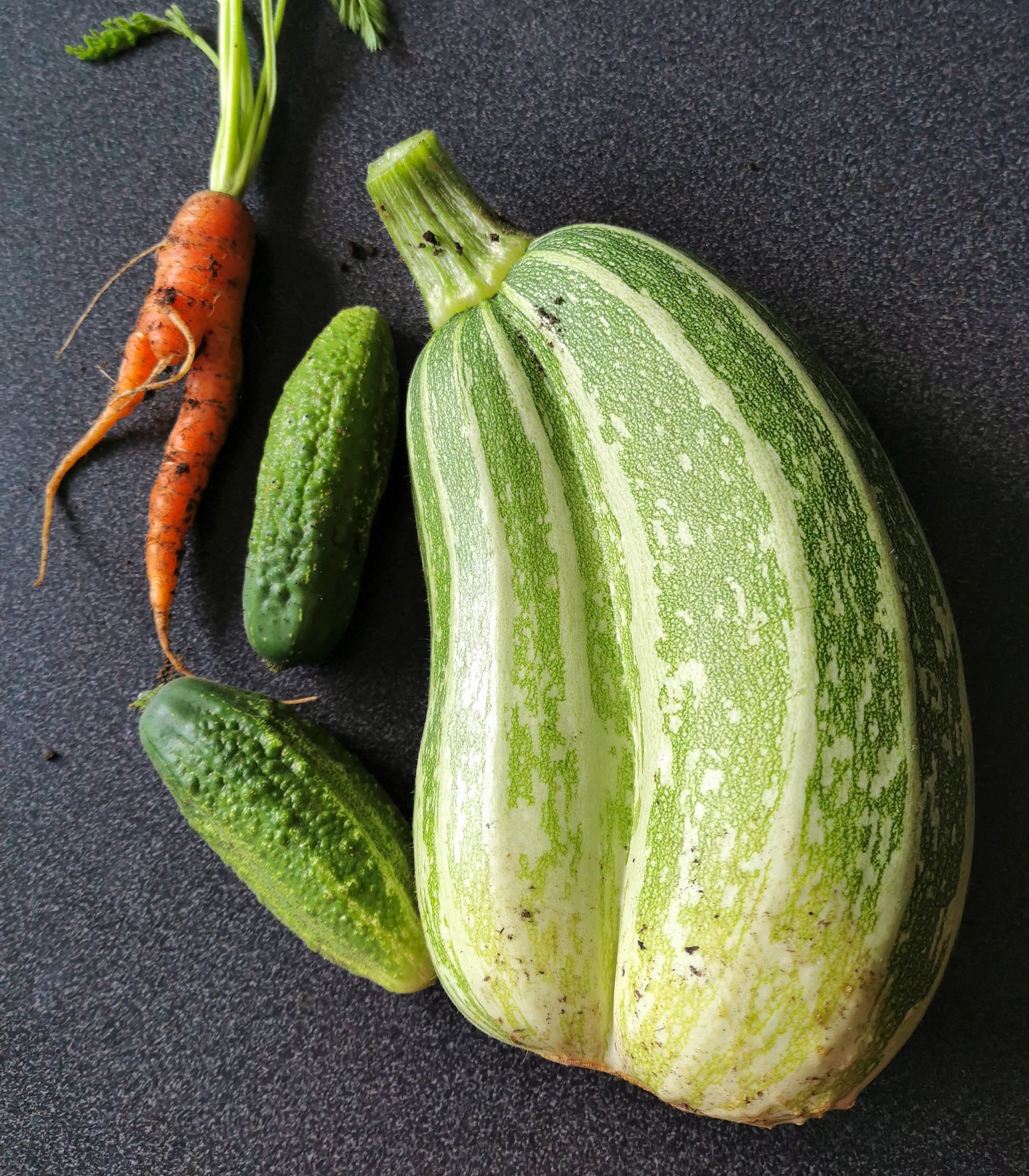 A table with misshapen carrot, marrow and two cucumbers displayed.