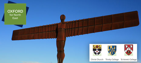 The logo for the OxNE programme.