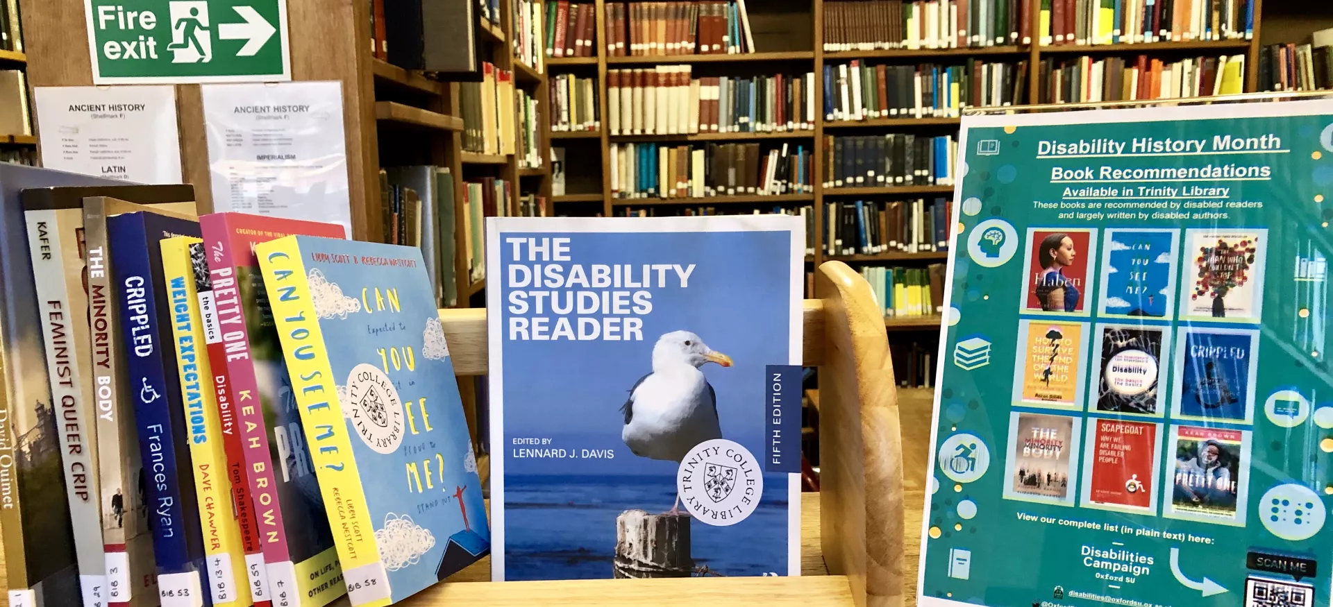 Library books on diversity