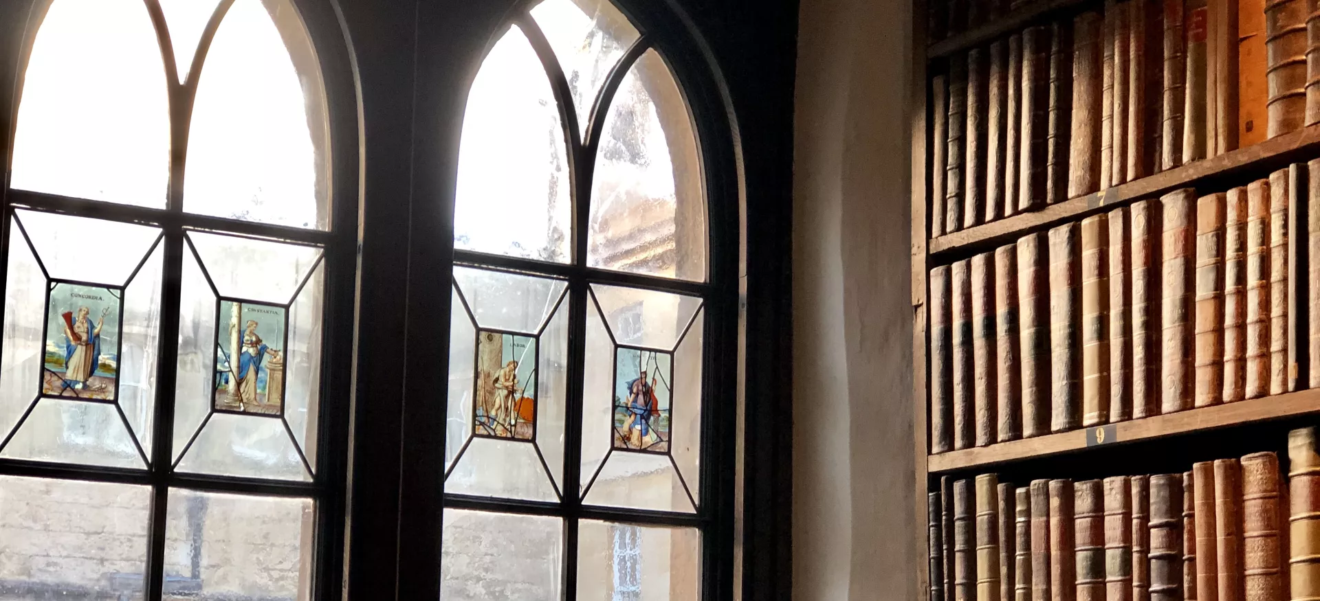 A view from Trinity's Old Library window onto the quad below, with a bookshelf in view.