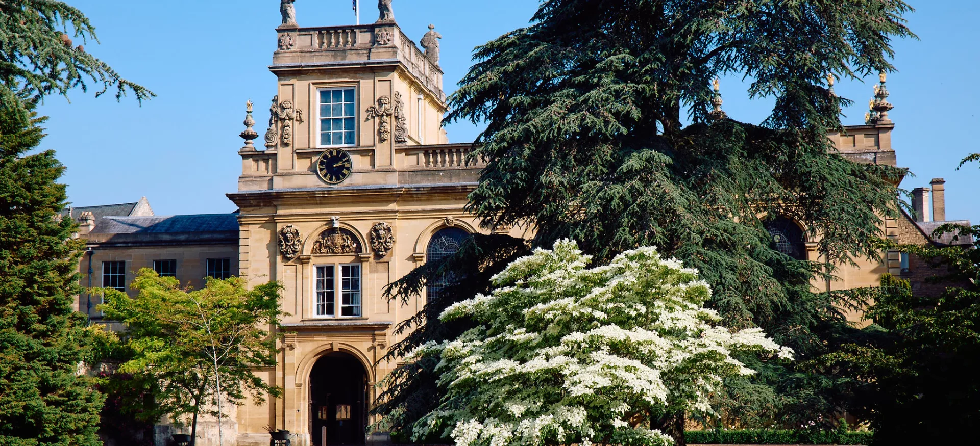 A view of Trinity's front quad in the sun with a white-blossomed tree on the lawn.