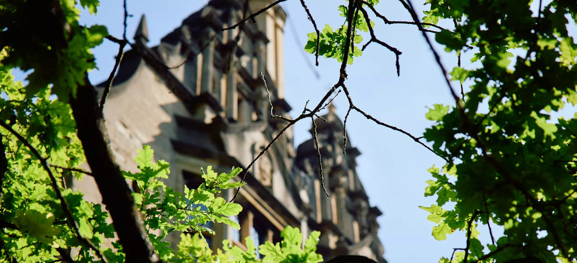 The President's Lodgings at Trinity college viewed through tree branches in front quad.
