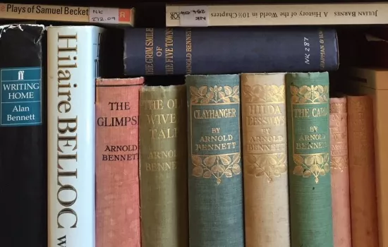 Books in bookcase