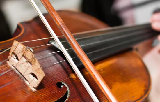 Violin