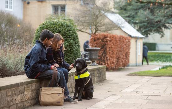 Two students, one with a guide dog, sit on a wall in Trinity College. 