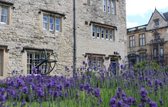The Lavender Garden outside Trinity's Kettell Hall.