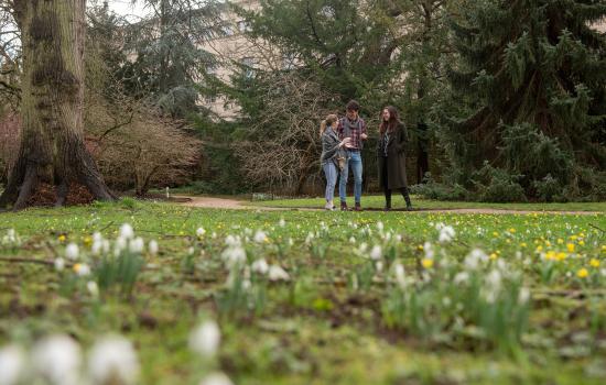 Snowdrops on the lawn at Trintiy with a group of students in the background.