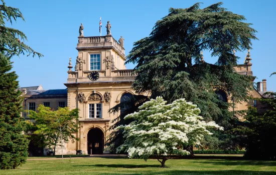A view of Trinity's front quad in the sun with a white-blossomed tree on the lawn.