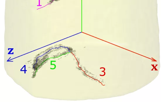 A 3D plot of a material specimen along with the dislocations (1-5) identified using the method presented in the paper. The Burgers vectors for each of these dislocations were also computed