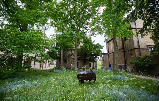 The wilderness area in the Levine Building.