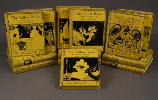 A collection of the Yellow Book volumes.