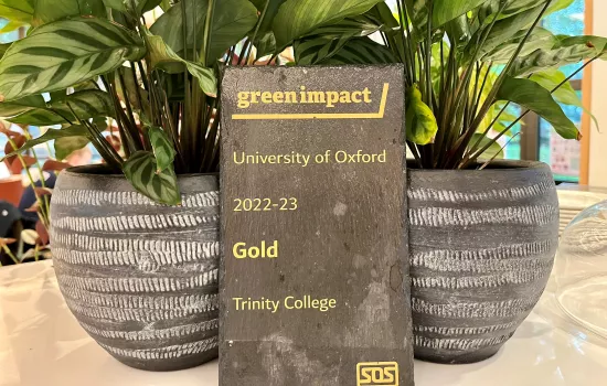 Trinity College's Green Impact Gold award sits in between two pot plants in the college cafe.
