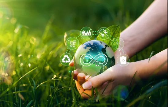 An image of a hand holding a ball representing a circular economy.