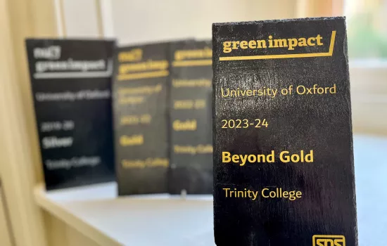 Trinity's 2023/24 Beyond Gold award sits on a shelf with the college's other awards.