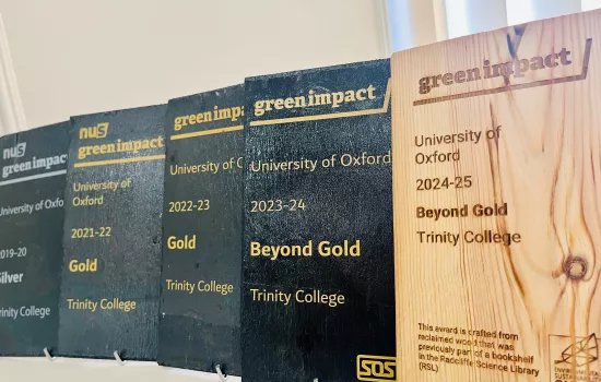 Row of Green Impact award plaques for Trinity College, Oxford, displayed on a shelf. The most recent award for 2024–25 is made of reclaimed wood and reads 'Beyond Gold'. Previous black slate plaques show achievements from 2019 to 2024, progressing from Silver to Gold and Beyond Gold