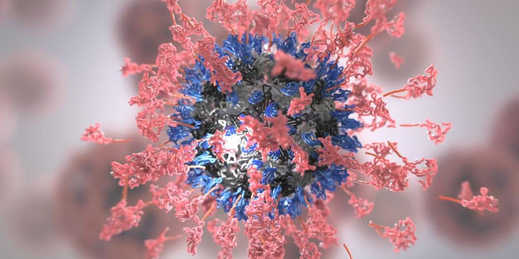 A close-up computer image of a coronavirus molecule.