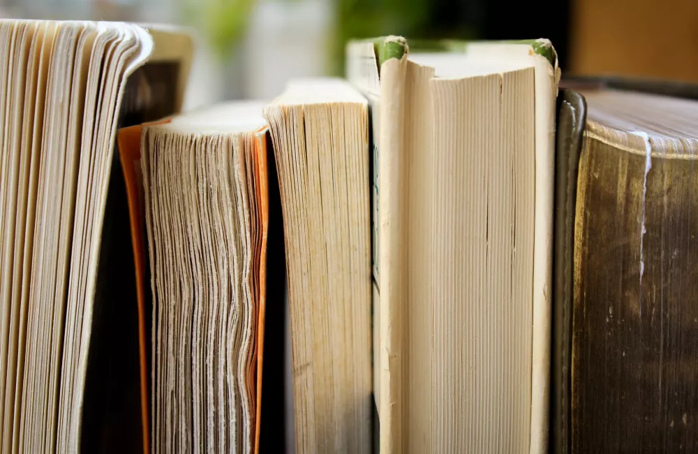 View of a shelf of books seen from end on