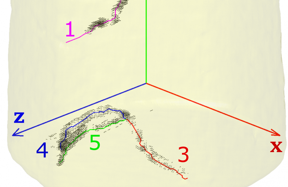 A 3D plot of a material specimen along with the dislocations (1-5) identified using the method presented in the paper. The Burgers vectors for each of these dislocations were also computed