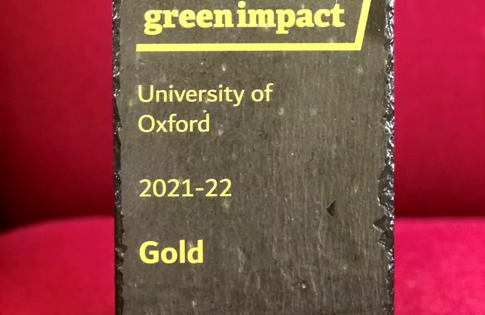 The Trinity College 2021-22 Green Impact Gold award sits against a red background.