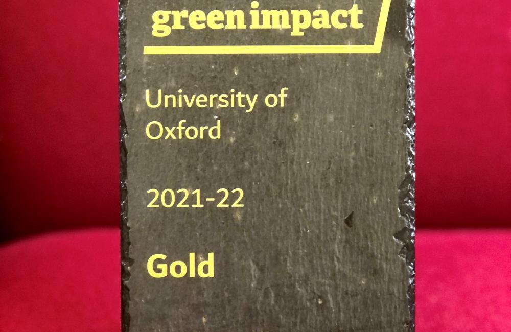 The Trinity College 2021-22 Green Impact Gold award sits against a red background.