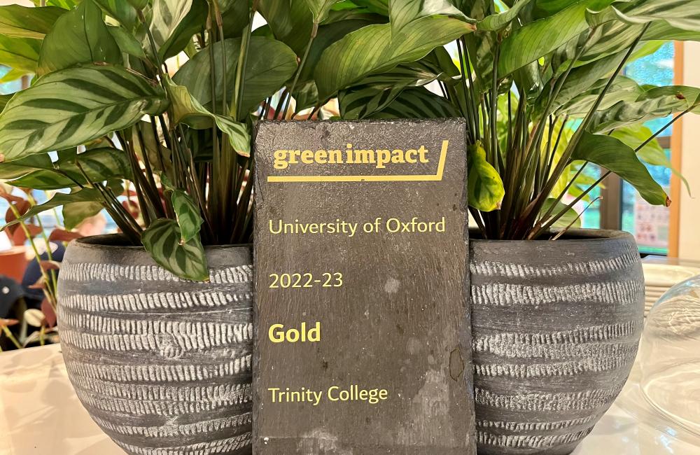 Trinity College's Green Impact Gold award sits in between two pot plants in the college cafe.