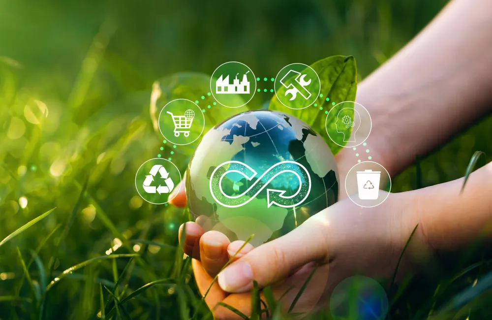 An image of a hand holding a ball representing a circular economy.