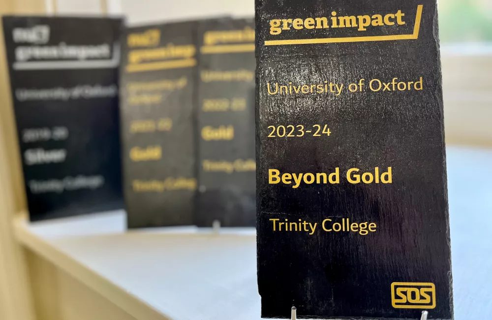 Trinity's 2023/24 Beyond Gold award sits on a shelf with the college's other awards.