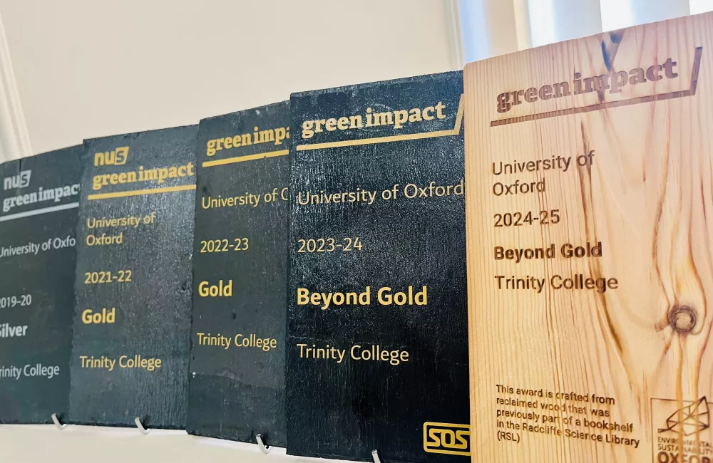 Row of Green Impact award plaques for Trinity College, Oxford, displayed on a shelf. The most recent award for 2024–25 is made of reclaimed wood and reads 'Beyond Gold'. Previous black slate plaques show achievements from 2019 to 2024, progressing from Silver to Gold and Beyond Gold