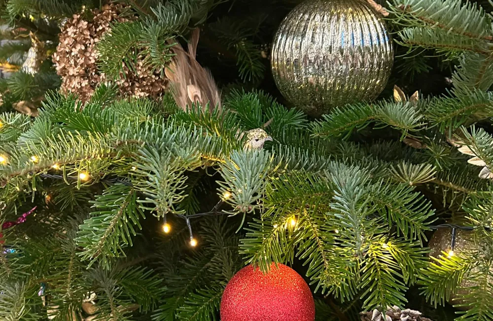a close up of a christmas tree with baubles