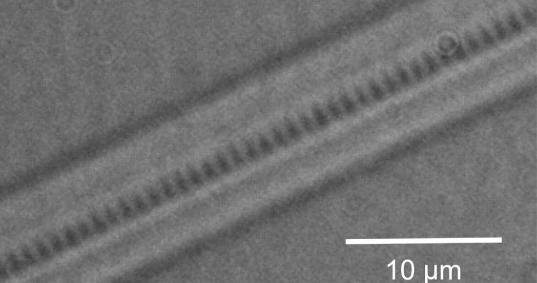 Microscope image of the central core of an optical fibre, with an inscribed Bragg grating sensor.