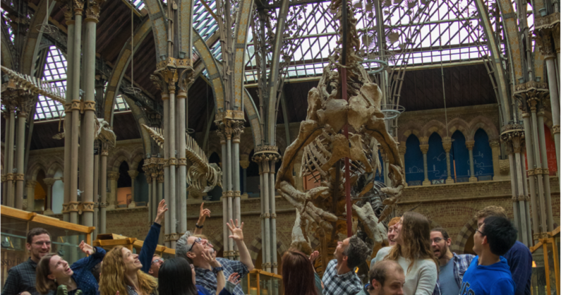 Trip to the Natural History Museum