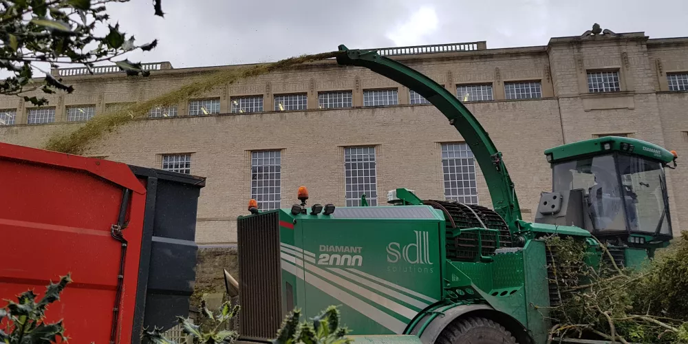 A wood chipper process tree wood from the Trinity wilderness.