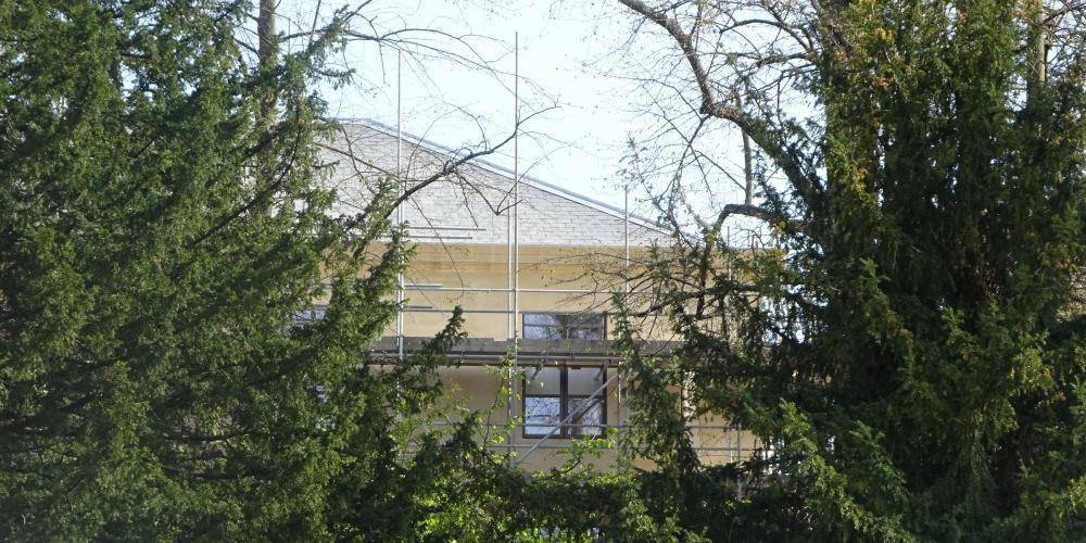 The top of the Levine Building with complete roof can be seen between tall trees.