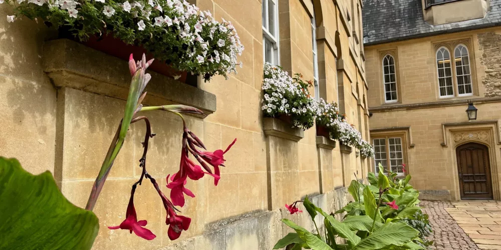 Window and plant boxes in Trinity's Durham quad.