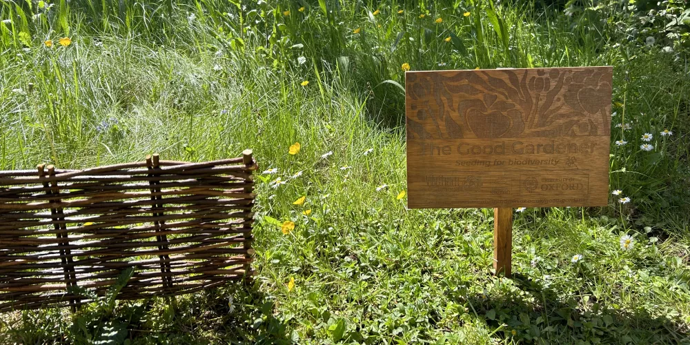 Some woven fencing in the trinity planted woodland.