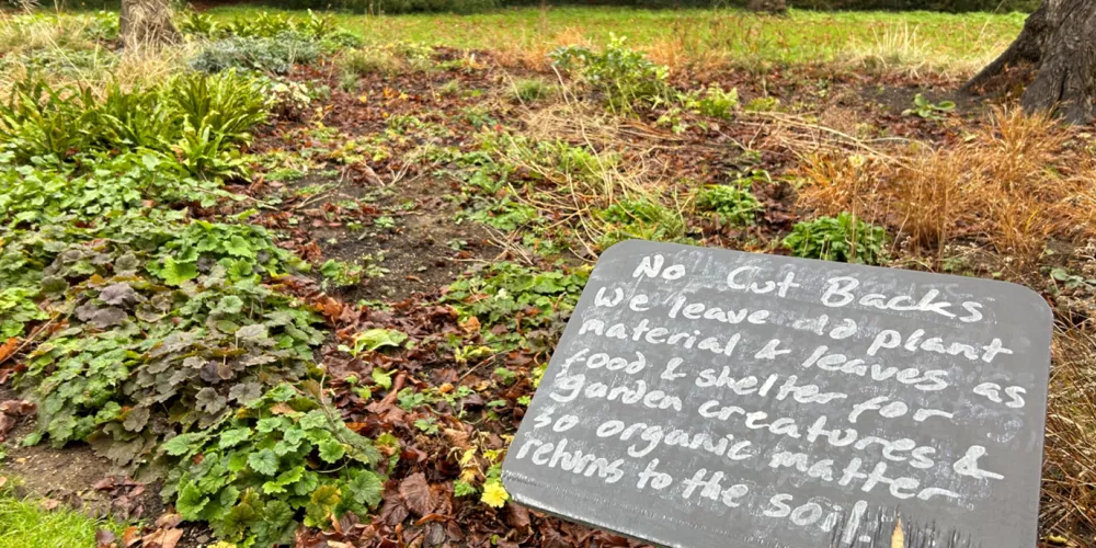 A sign in the Trinity gardens explaining what is happening.