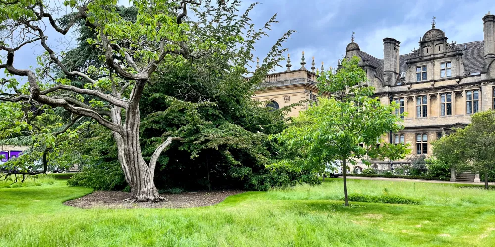 The front quad of Trinity college with half the lawn mowed the other other half left long for no-mow May.