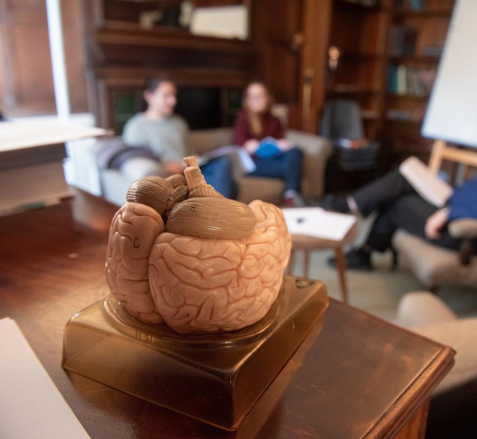 A model of the brain in the foreground is in focus; in the background students are having a medicine tutorial.