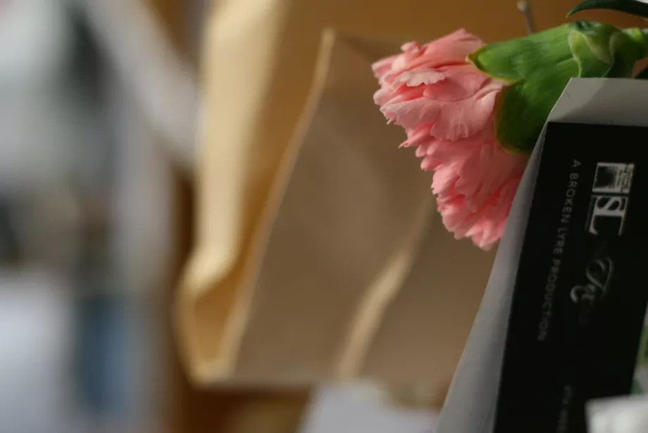 carnation in pigeon hole