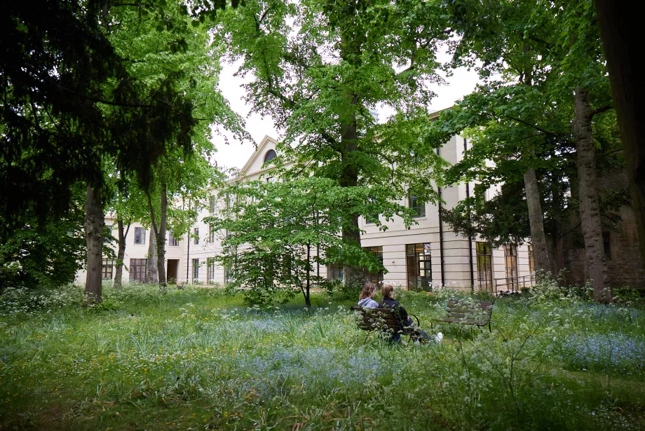 Students sit in the wilderness woodland garden outside the Levine Building.