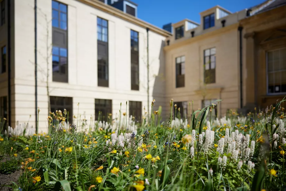 Flowers in the bed outside the Levine Building in Library Quad.