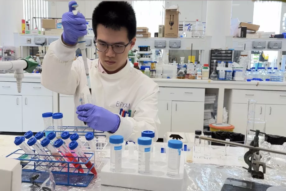 Trinity student Bryan Ng wears a lab coat and goggles to pipette fluids in a lab.
