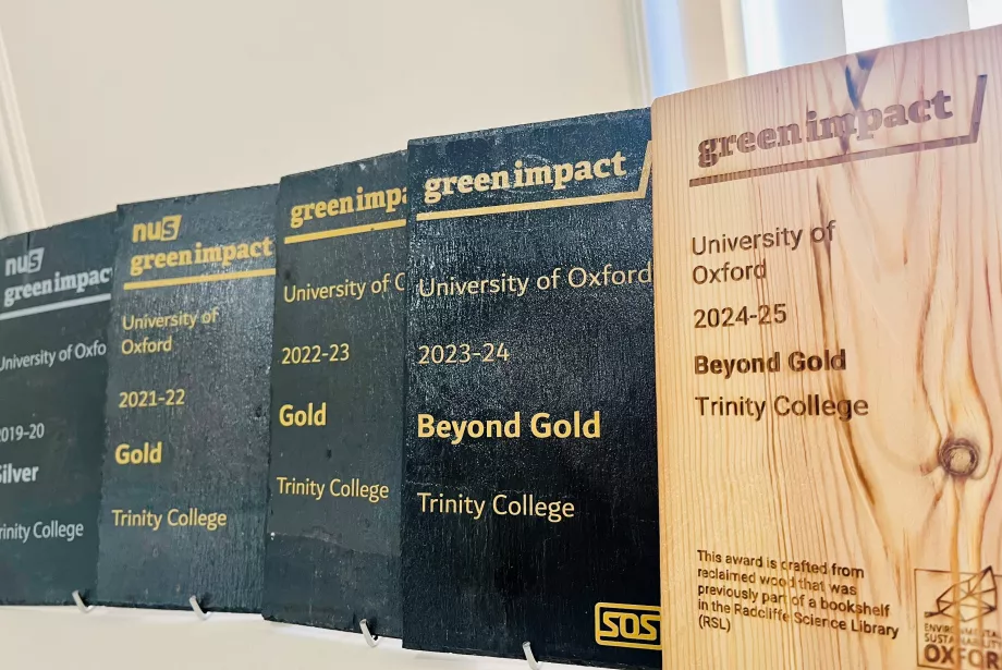 A set of green impact awards arranged on a shelf.
