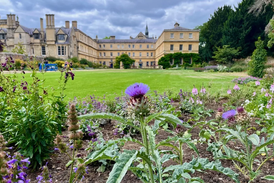iew across the lawns of Trinity College Oxford with ornamental thistles and summer flowers in the foreground. The historic college buildings rise in the background under a cloudy sky, with a wide green lawn stretching between the flowerbeds.